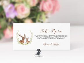 invitatie