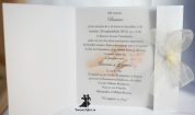 Invitatie de nunta si botez cu fluturasi embosati si fundita