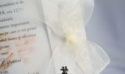 Invitatie de nunta si botez cu fluturasi embosati si fundita